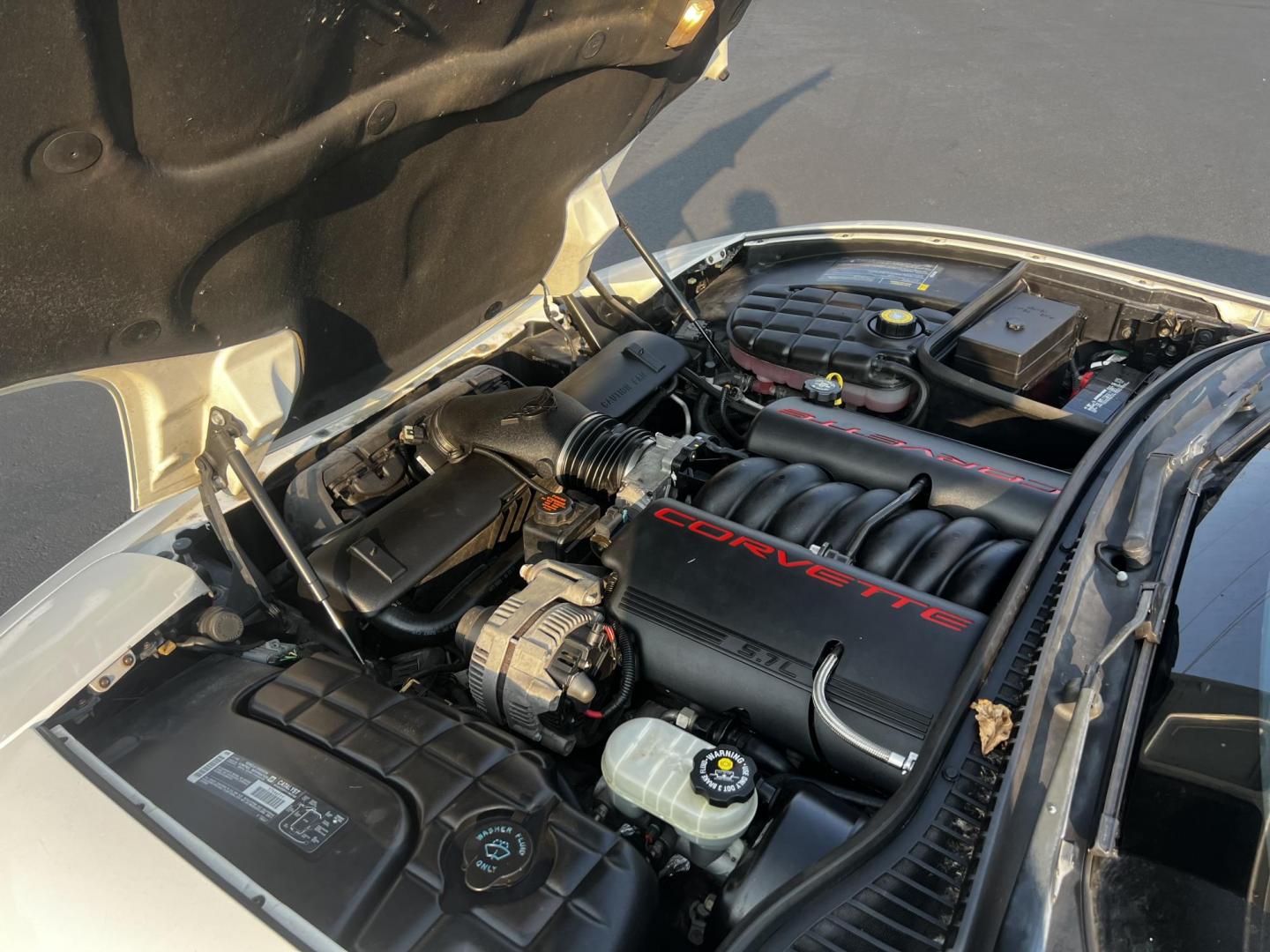 2001 /Tan Chevrolet Corvette Convertible (1G1YY32G815) with an 5.7L V8 OHV 16V engine, 4-Speed Automatic transmission, located at 11115 Chardon Rd. , Chardon, OH, 44024, (440) 214-9705, 41.580246, -81.241943 - Photo#13